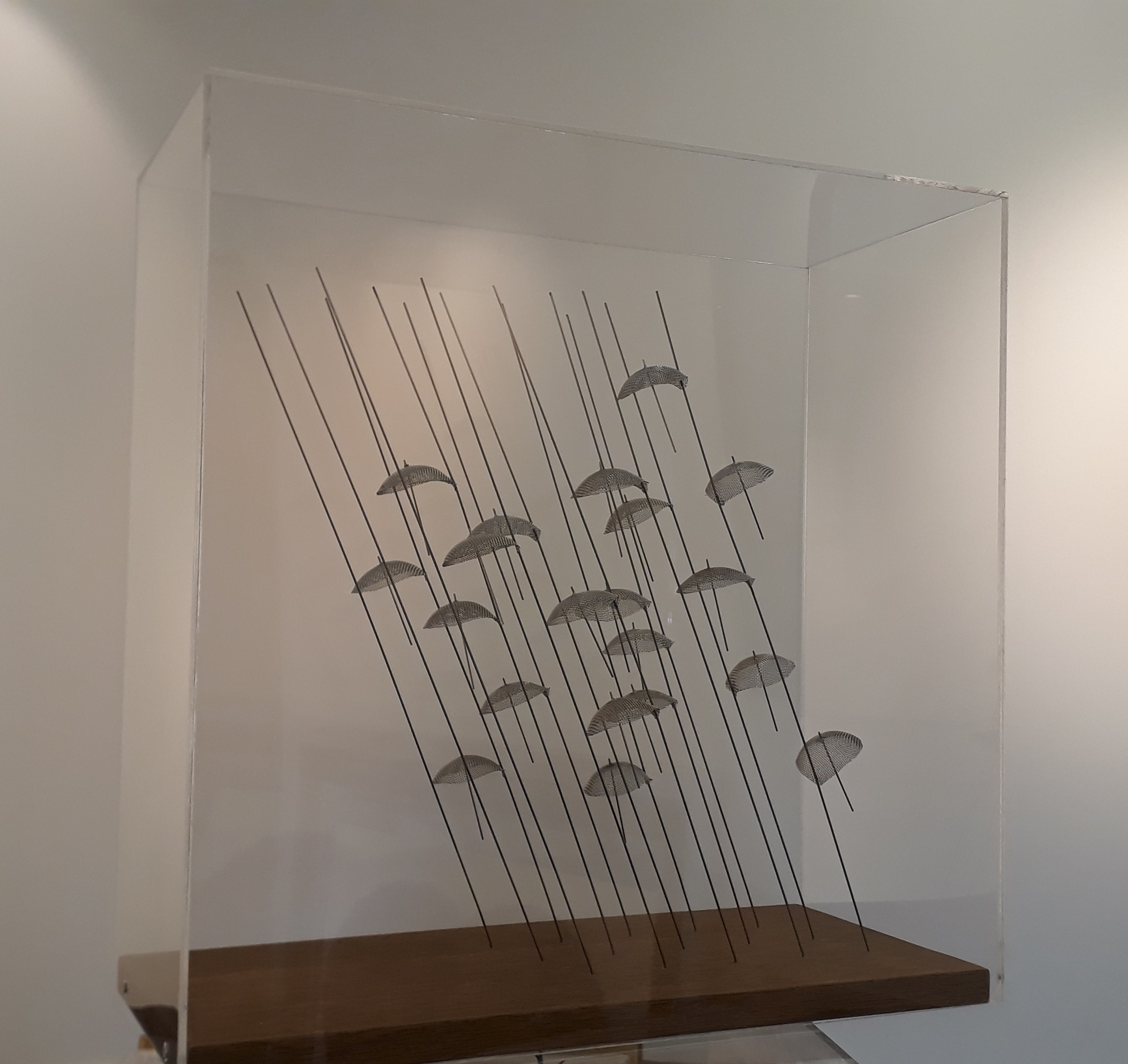 20200910-110632.jpg 20200910-110632.jpg